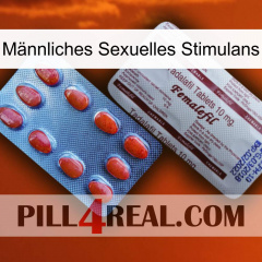 Männliches Sexuelles Stimulans 36